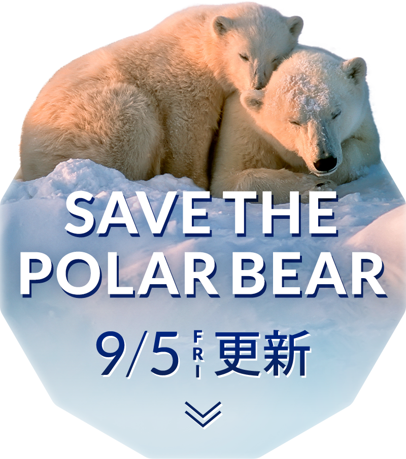 ノーザンライツ 復刻リクエスト投票選挙 7/31まで